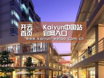 案例展示一
