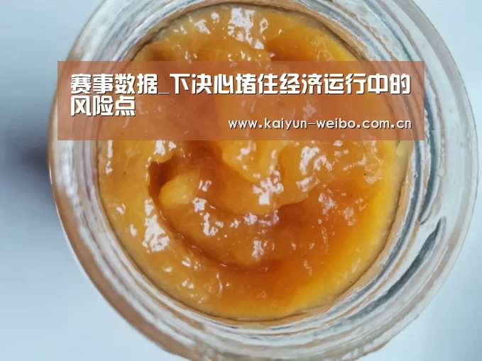 赛事数据_下决心堵住经济运行中的风险点(图1) 赛事数据